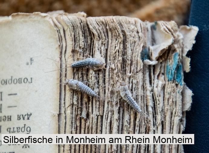 Silberfische in Monheim am Rhein Monheim